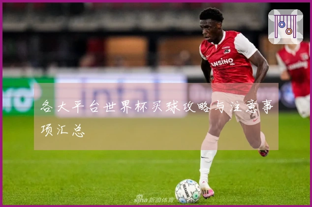 各大平台世界杯买球攻略与注意事项汇总