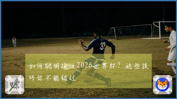 如何聪明投注2026世界杯？这些技巧你不能错过