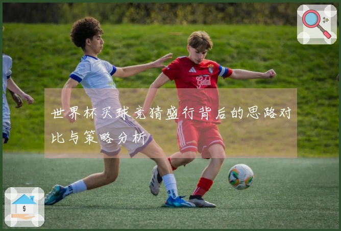 世界杯买球竞猜盛行背后的思路对比与策略分析